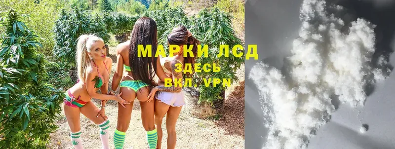 наркота  Дмитриев  Лсд 25 экстази ecstasy 